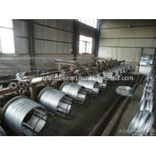 High Quality Hot DIP Galvanized Guy Wire/Galvanized Steel Strand